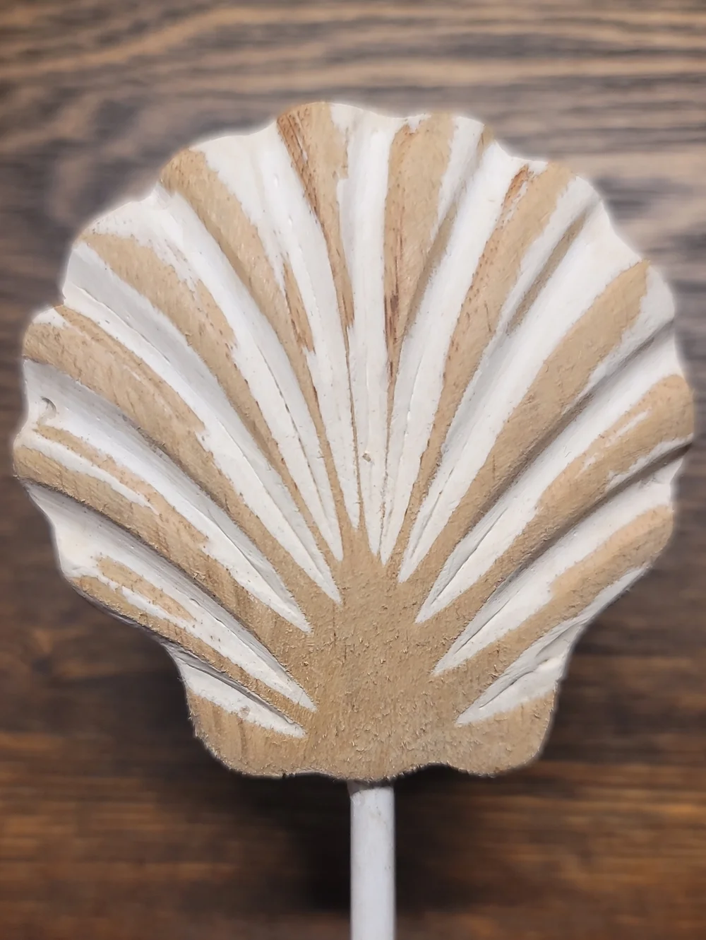 Wooden Shell Accent on Stand - Beige and White